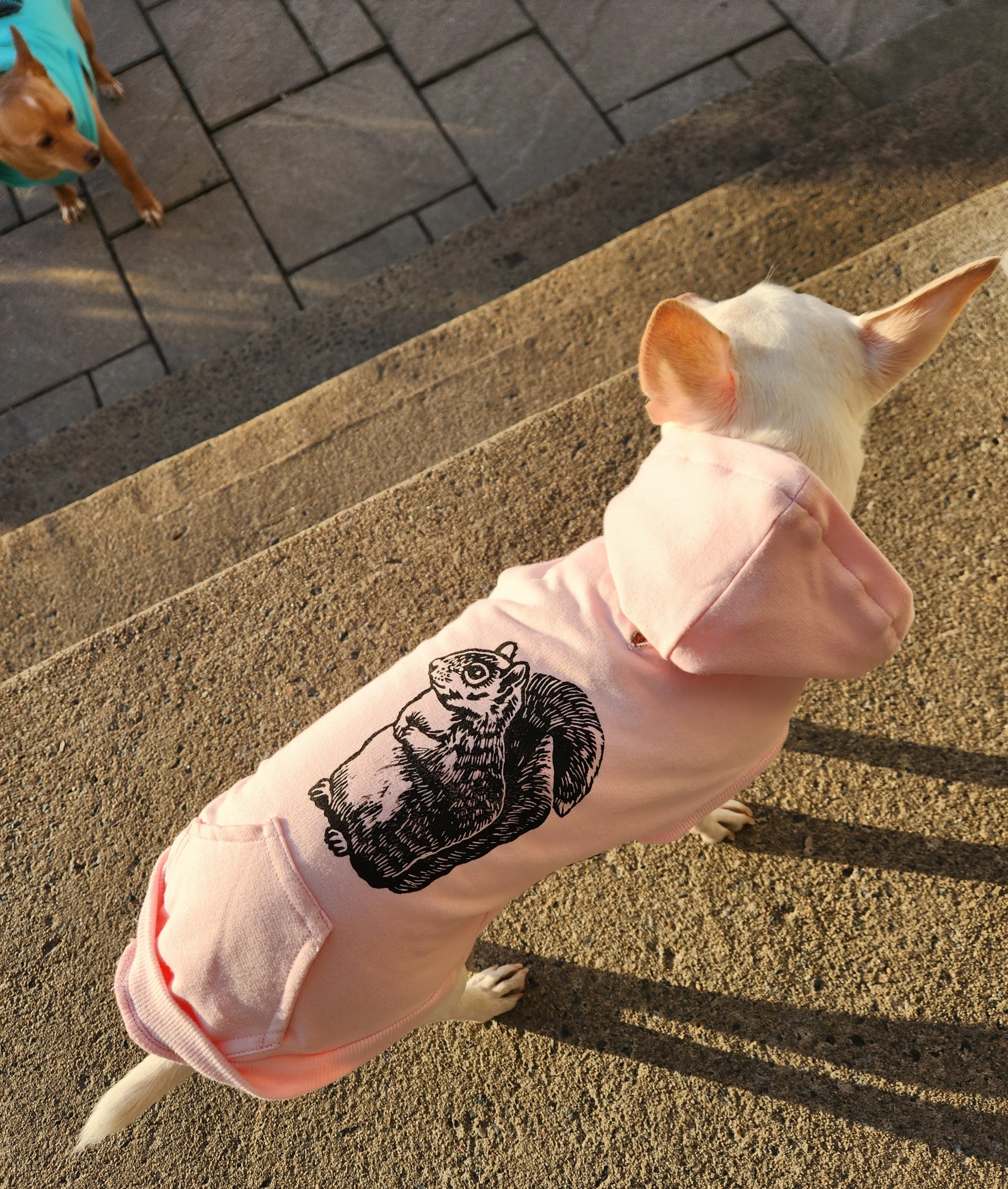 Bamboo Dog Sweater - Heather Grey