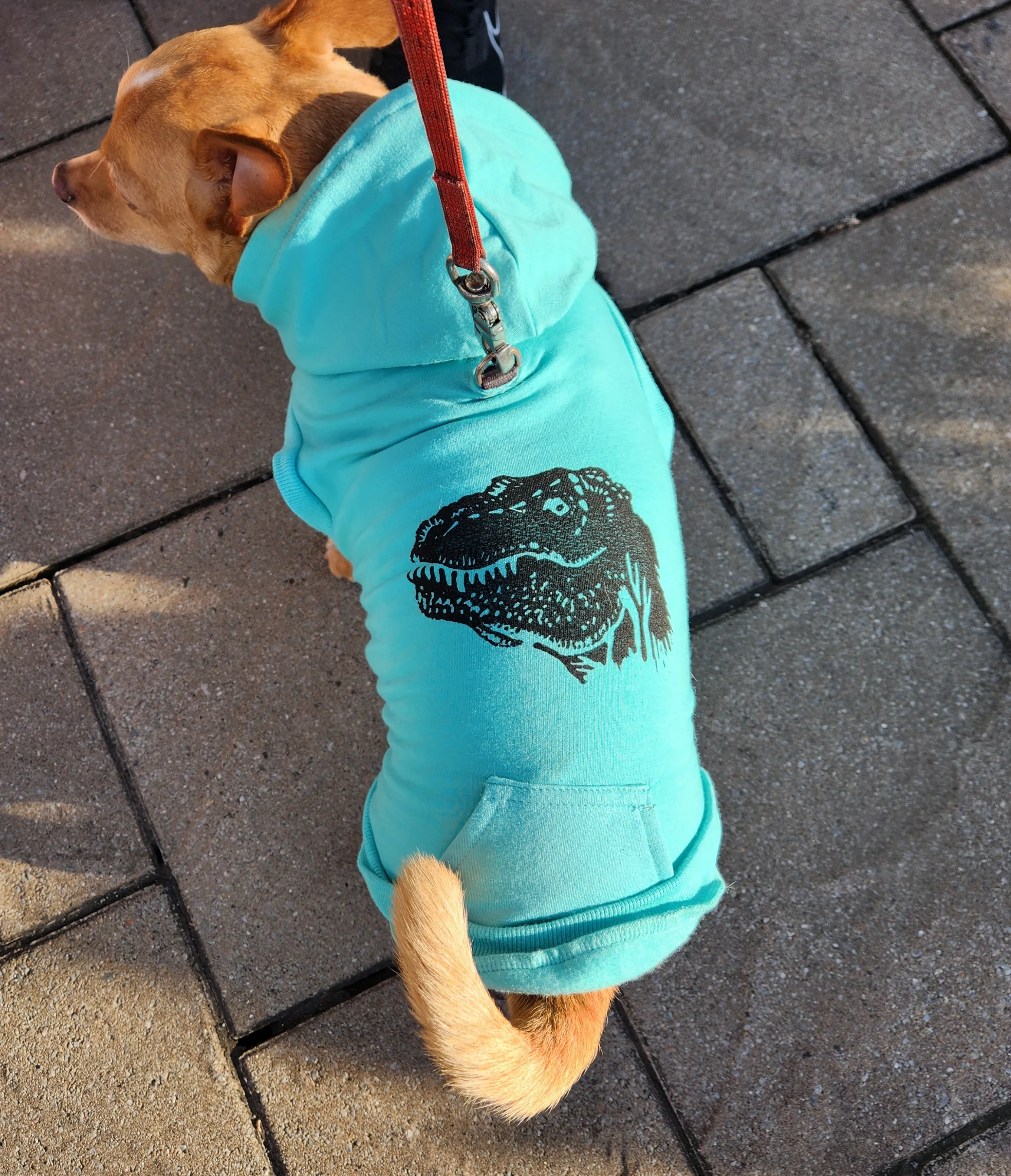 Bamboo Dog Sweater - Heather Grey