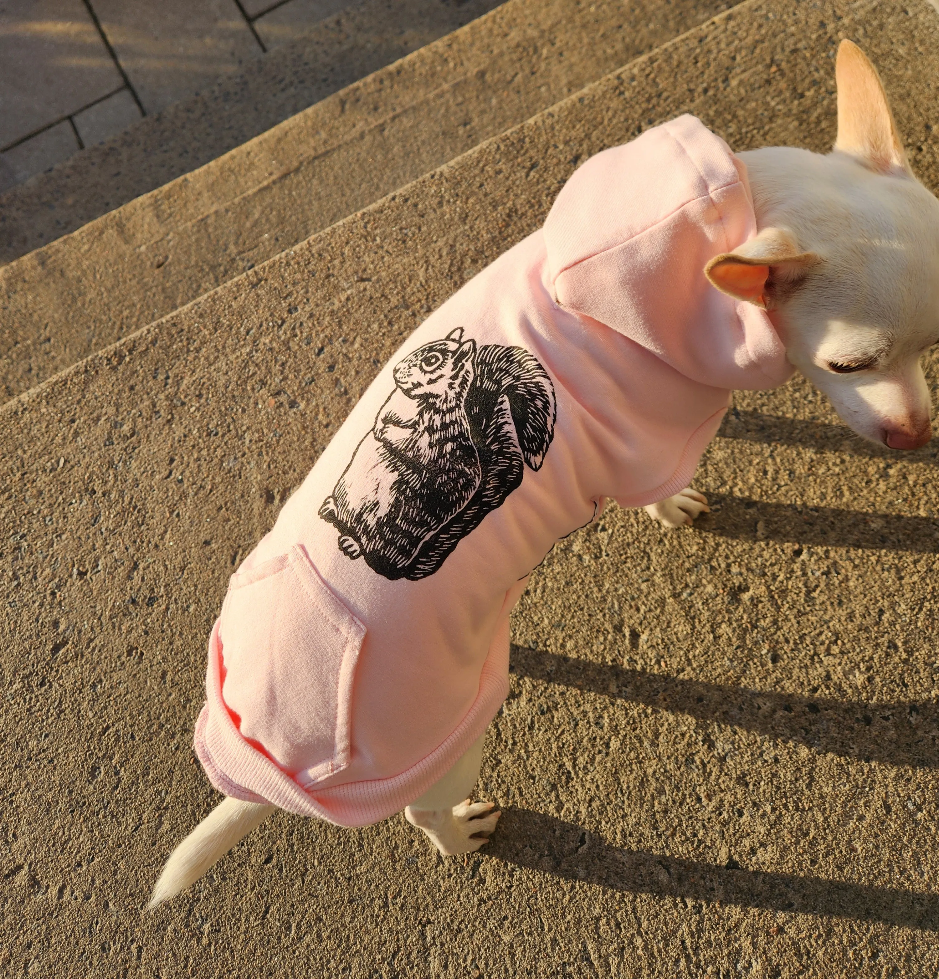 Bamboo Dog Sweater - Heather Grey