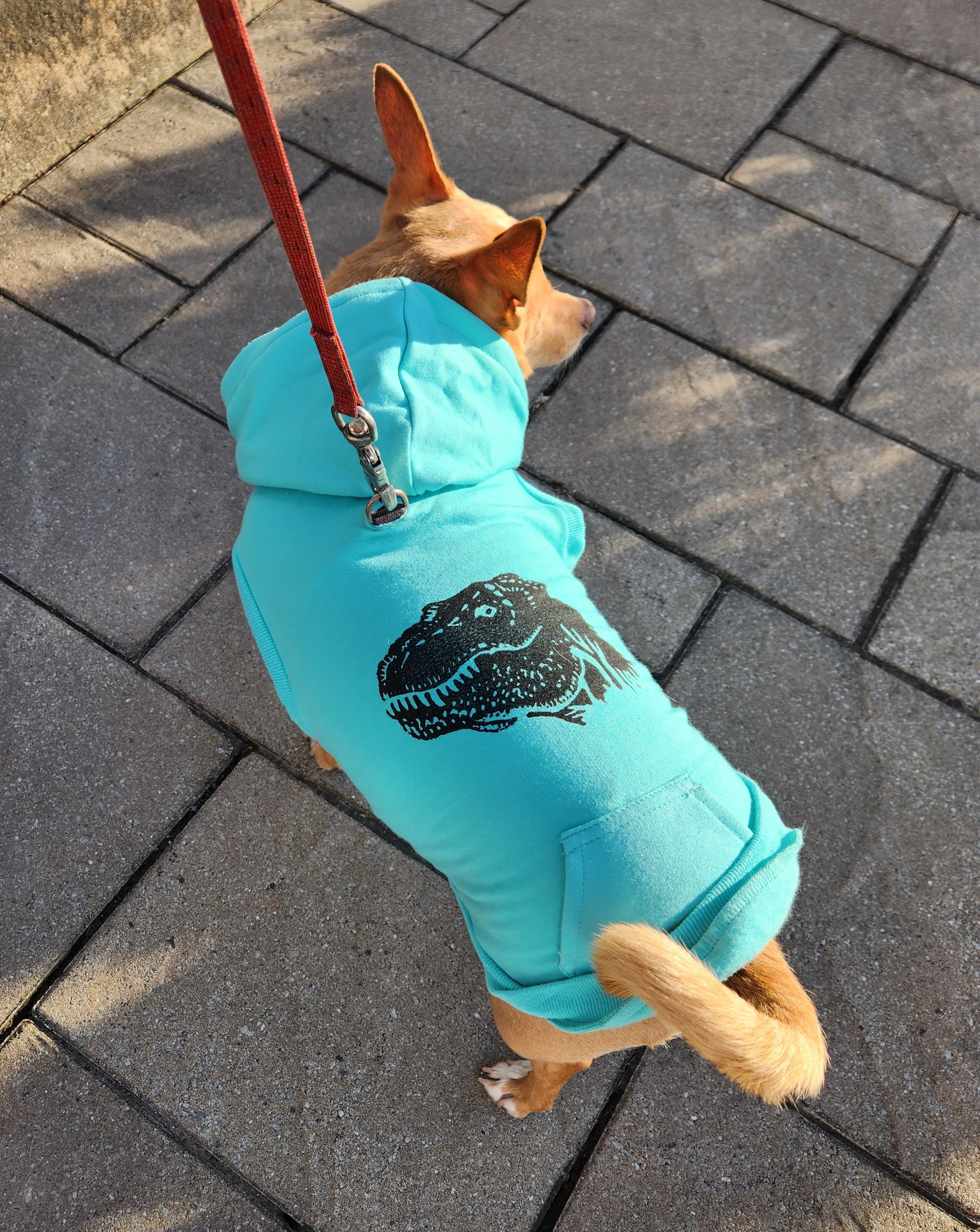 Bamboo Dog Sweater - Heather Grey
