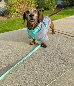 Bamboo Dog Sweater - Heather Grey