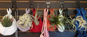 Nest Hanging Planter for Air Plants, Succulents, Houseplants . * . Macrame Cozy Nests for your Plants! . * .