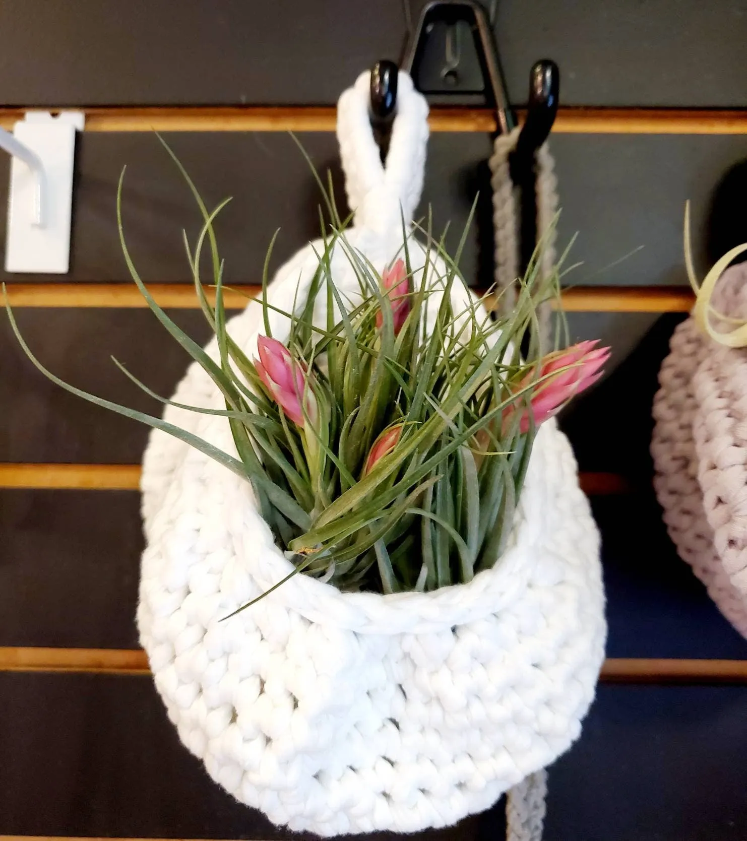Nest Hanging Planter for Air Plants, Succulents, Houseplants . * . Macrame Cozy Nests for your Plants! . * .
